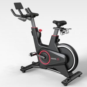 Bicicleta de spinning GH-V5